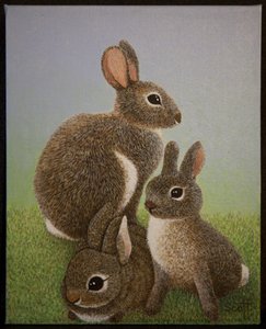 Família Rabbit, 2016 de Pat Scott
