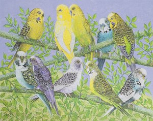 Sweet Talking (acrílico sobre tela) de Pat Scott