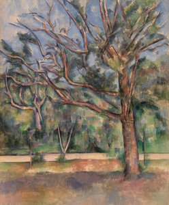 Árvores e Estrada (Arbres et route)