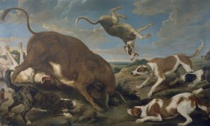 TORO ATACADO POR CÃES - SÉCULO XVII - LIENZO 210 × 346 cm - FLAMENCO BAROQUE
