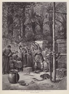Comerciante de serpentes na América Central (litho) de Paul Frenzeny