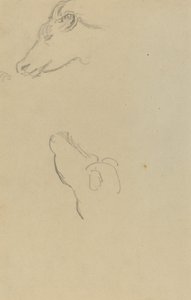 Cabeça de vaca [reto] de Paul Gauguin