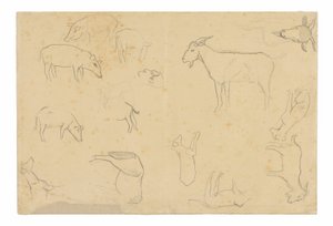 Esboços de vários animais e cabeça (anverso), esboços de uma cabeça, figura de perfil, pormenores anatómicos e animais (verso) de Paul Gauguin
