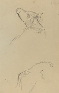 Duas Cabeças de Vaca [verso] de Paul Gauguin