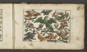 Ave de rapina, 11 outras aves e um morcego
Pássaros (título da série)