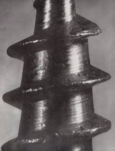 Rosca de um pequeno parafuso (fotografia a preto e branco)
