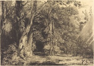 Inundações na floresta da Ile Séguin de Paul Huet