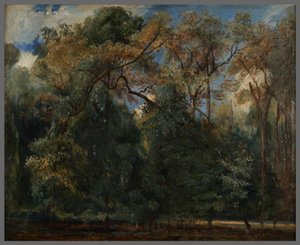Os ulmeiros de Saint-Cloud de Paul Huet