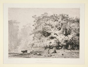 Bosques perto de Fontainebleau de Paul Huet