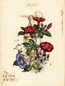 Bouquet de ipomoea escarlate e glória matinal azul com vaso. de Paul Jerrard