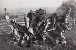 "Laocoon", Carswall