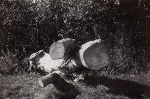 Pesquisa de objectos de Paul Nash