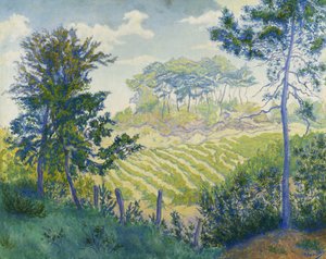 Vinhedos sob os pinheiros; Os vinhedos sob os pinheiros, c. 1898 de Paul Elie Ranson