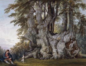 Um garoto fazendo um cachorro dançar pelo tronco de uma antiga árvore de faia retorcida, de Paul Sandby