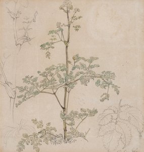  de Paul Sandby
