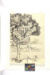 Antibes, Umbrella Pine In The Foreground (Antibes, Pin Pignon Au Premier Plan) (desenho a tinta preta com lápis preto sobre papel tecido de bronzeado) de Paul Signac
