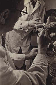 indústria alemã de Paul Wolff