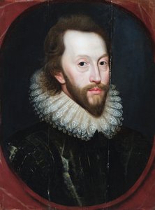 Retrato de um cavalheiro (óleo sobre painel) de Paul van (attr.to) Somer