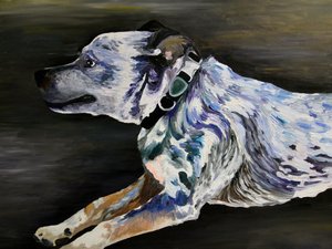 A corrida do Blue Dog