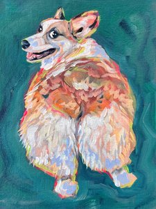 Um corgi cheio de energia