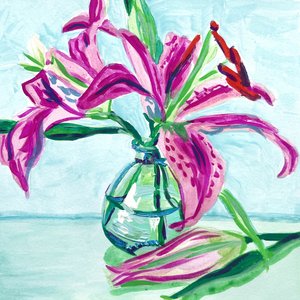 Lírios cor-de-rosa vibrantes