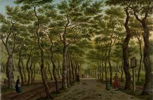 O Herepad no Haagse Bos
O Bosque de Scheveningen perto de Haia de Paulus Constantijn la Fargue (signed by artist)