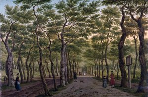 O Herepad no Haagse Bos de Paulus Constantin La Fargue