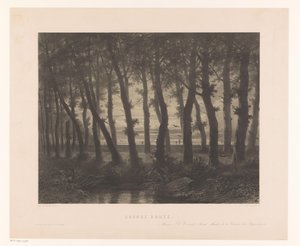 Paisagem florestal com aves voadoras
Grande via (título sobre o objecto)