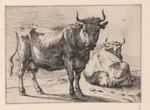 Uma vaca de pé e outra deitada, de Vários bois e vacas de Paulus Potter