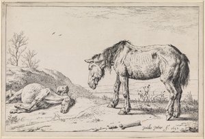  de Paulus Potter