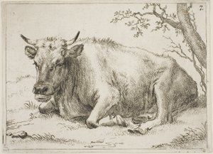 Vaca deitada ao lado de uma árvore, prato 7 de Oito touros e vacas de Paulus Potter