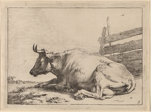 Vaca deitada perto de uma cerca de Paulus Potter