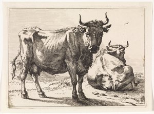Uma vaca em pé e uma vaca reclinada
O Livro dos Touros (título da série) de Paulus Potter
