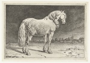 O cavalo Friesian Cavalos (título da série) de Paulus Potter