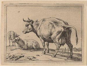Vaca mijando