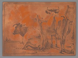 Vaca de pé e deitada, vista por trás de Paulus Potter