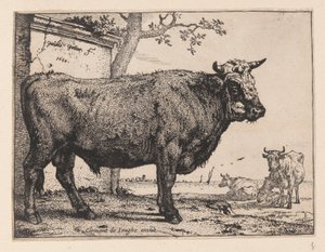 O Touro, de Vários Bois e Vacas de Paulus Potter