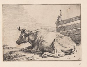 A vaca deitada junto a uma vedação, de Vários bois e vacas de Paulus Potter