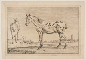 O cavalo que relincha, de Série de cavalos de Paulus Potter