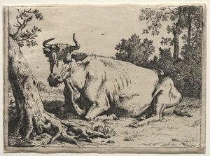 A vaca deitada perto de uma árvore. de Paulus Potter