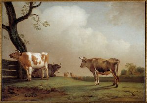 O prado Uma manada de vacas em um pré. Pintura de Paul Potter (1625-1654) 1652 Sol. 0,84x1,21 m