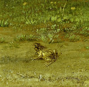 Sapo, detalhe de um compatriota companheiro com seu rebanho, 1648 (ver 242089) de Paulus Potter