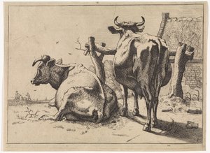 Duas vacas vistas de trás
O Livro dos Touros (título da série) de Paulus Potter