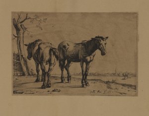 Dois cavalos de Paulus Potter