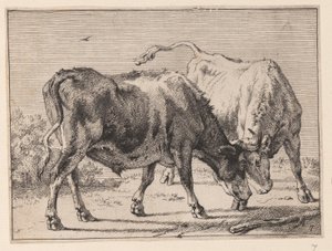 Dois bois a lutar, de Vários bois e vacas de Paulus Potter