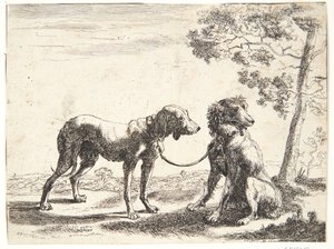 Dois cães amarrados juntos de Paulus van Hillegaert (II)