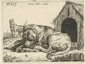 Cão reclinado sobre uma corrente
Cães diferentes (título da série)