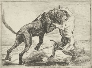 Dois cães de luta Cães (título da série)