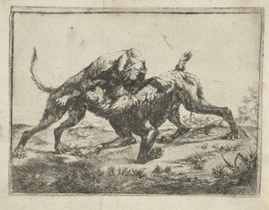 cães de briga