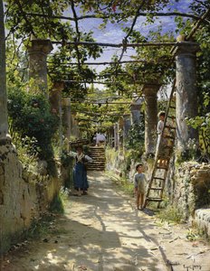 À sombra de uma pérgola italiana, uma tarde quente em Anacapri